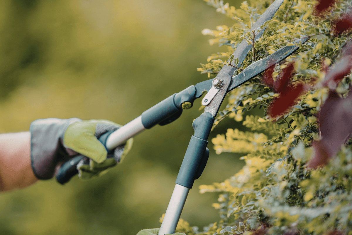 ISB ist Ihr Partner für industrielle Stahlverarbeitung